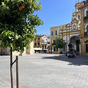 Aloja - Calle Pozo Siviglia