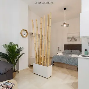  Appartement Lumbreras