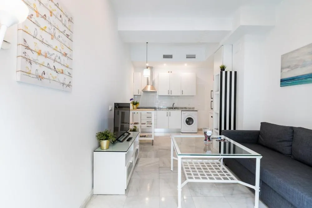Castellar-Apartamento En El Centro Historico Seville Apartment